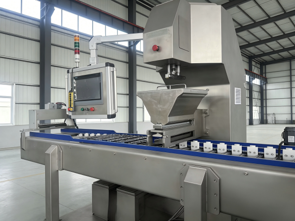 Servo Candy Depositor (Two-Color Center Filling) | Starch-Free Depositing Technology for Healthcare & Functional Candies Servo Candy Depositor (Two-Color Center Filling) | Starch-Free Depositing Technology for Healthcare & Functional Candies